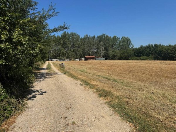 terreno agricolo in vendita a Castelfranco di Sotto
