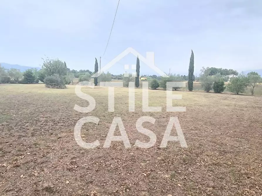 terreno agricolo in vendita a Castelfranco di Sotto in zona Orentano