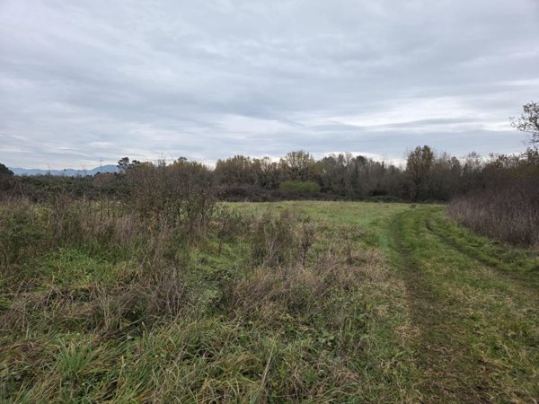 terreno agricolo in vendita a Castelfranco di Sotto in zona Orentano