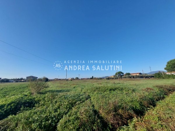 terreno agricolo in vendita a Castelfranco di Sotto