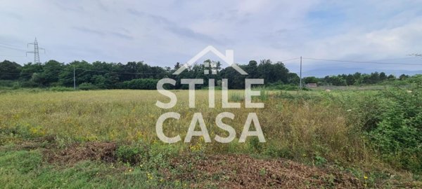 terreno agricolo in vendita a Castelfranco di Sotto in zona Orentano