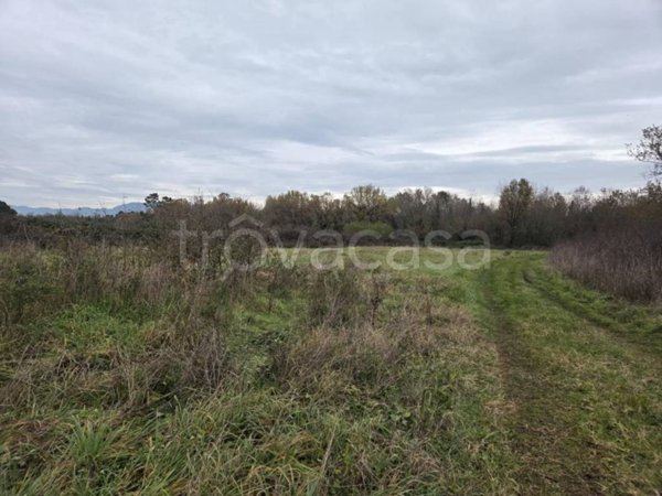 terreno agricolo in vendita a Castelfranco di Sotto in zona Orentano