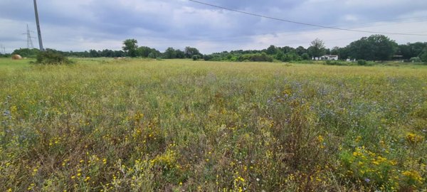 terreno agricolo in vendita a Castelfranco di Sotto in zona Orentano