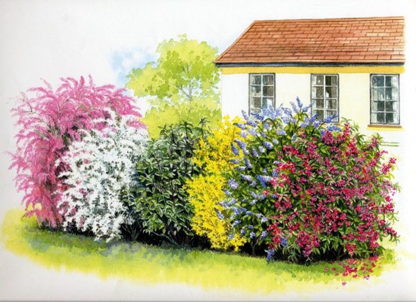 casa indipendente in vendita a Castelfranco di Sotto in zona Orentano