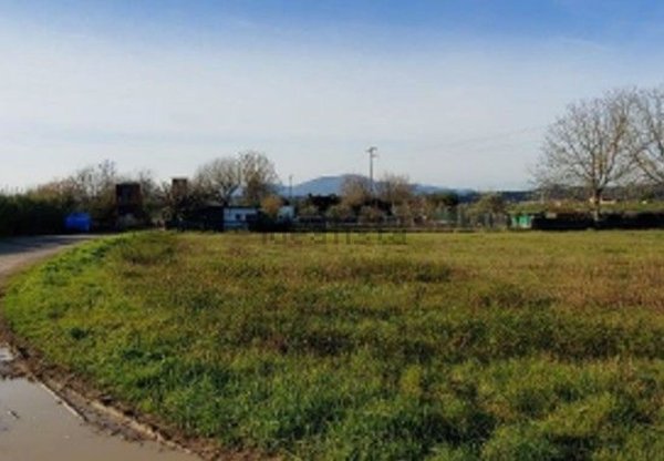 terreno agricolo in vendita a Castelfranco di Sotto