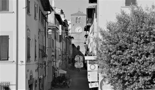 negozio in vendita a Castelfranco di Sotto