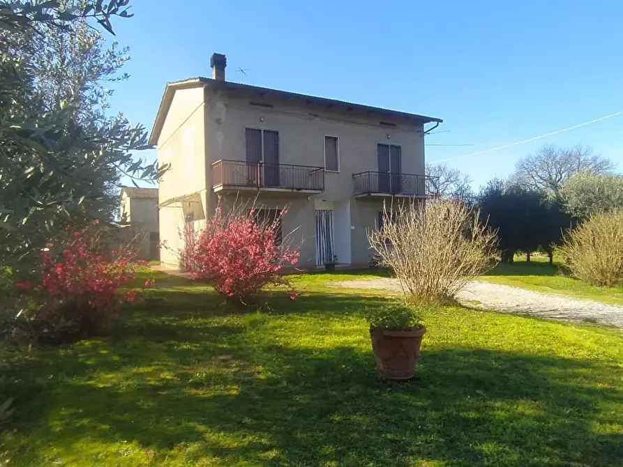casa indipendente in vendita a Castelfranco di Sotto in zona Villa Campanile