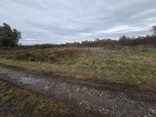 terreno agricolo in vendita a Castelfranco di Sotto in zona Orentano