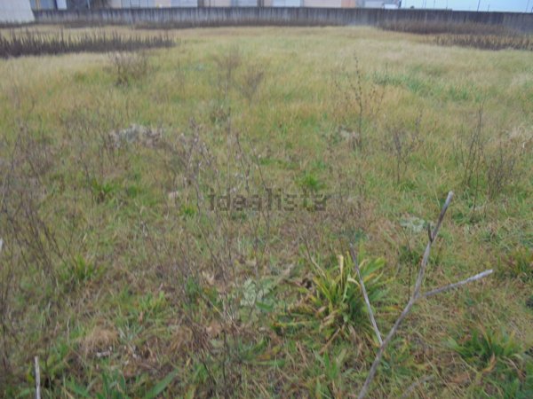terreno edificabile in vendita a Castelfranco di Sotto