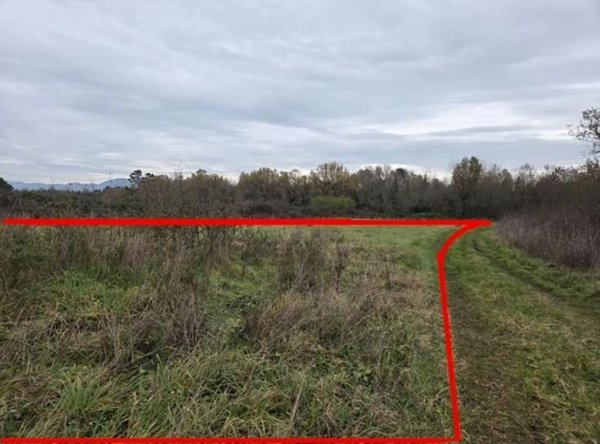 terreno agricolo in vendita a Castelfranco di Sotto in zona Orentano