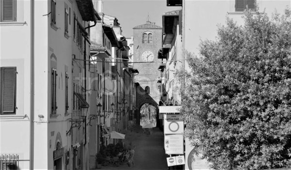 negozio in vendita a Castelfranco di Sotto