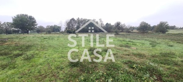 terreno agricolo in vendita a Castelfranco di Sotto in zona Orentano