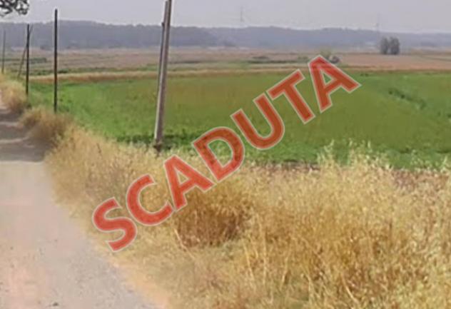 terreno agricolo in vendita a Castelfranco di Sotto in zona Orentano