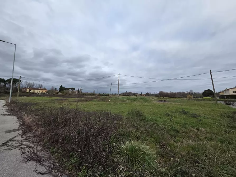 terreno edificabile in vendita a Castelfranco di Sotto in zona Orentano