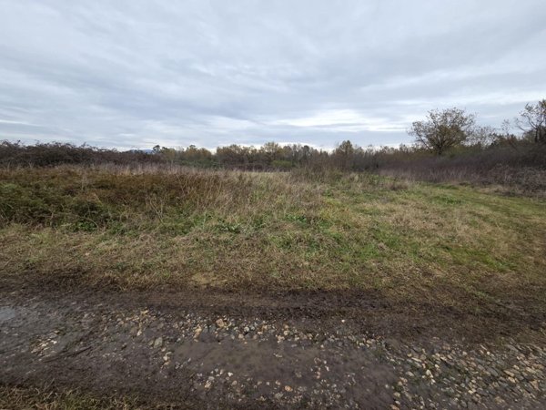 terreno agricolo in vendita a Castelfranco di Sotto in zona Orentano