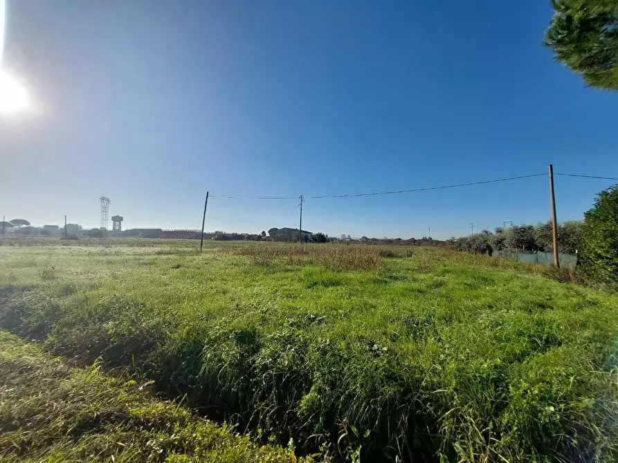 terreno agricolo in vendita a Castelfranco di Sotto