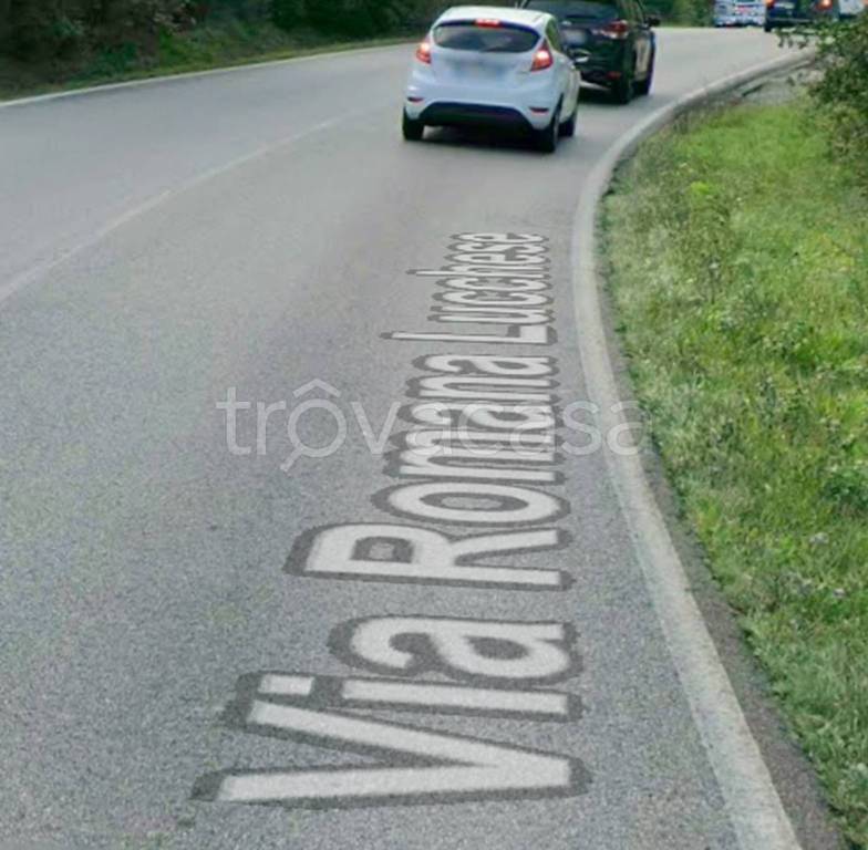 terreno agricolo in vendita a Castelfranco di Sotto