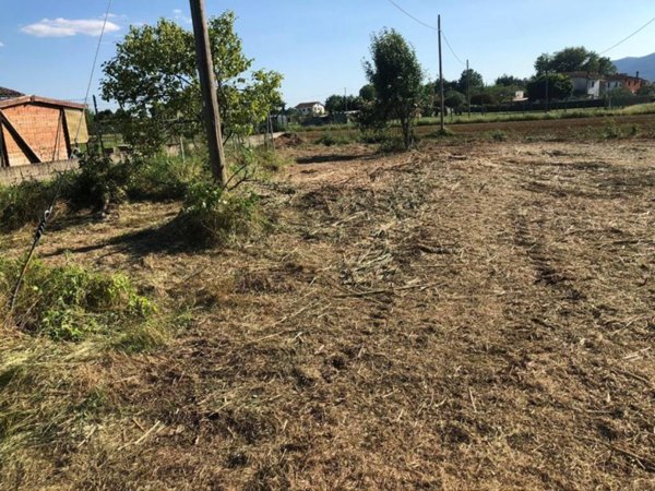terreno agricolo in vendita a Castelfranco di Sotto in zona Villa Campanile
