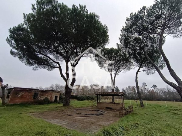 negozio in vendita a Castelfranco di Sotto