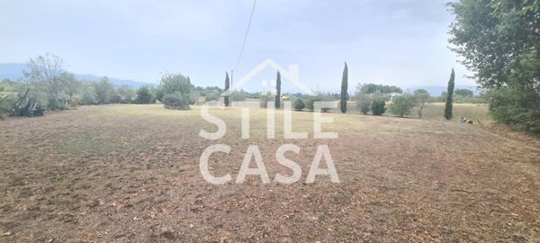 terreno agricolo in vendita a Castelfranco di Sotto in zona Orentano
