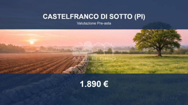 terreno agricolo in vendita a Castelfranco di Sotto in zona Orentano