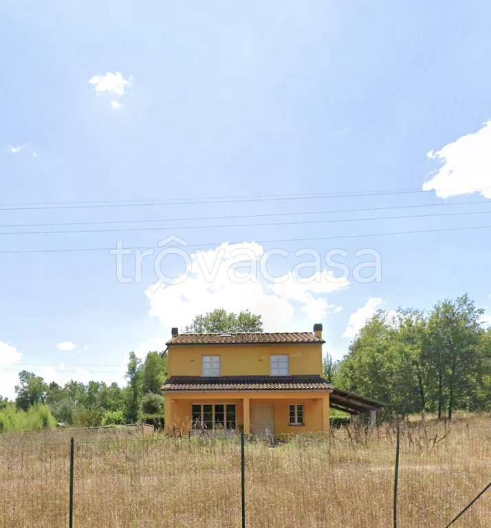 casa indipendente in vendita a Castelfranco di Sotto in zona Villa Campanile