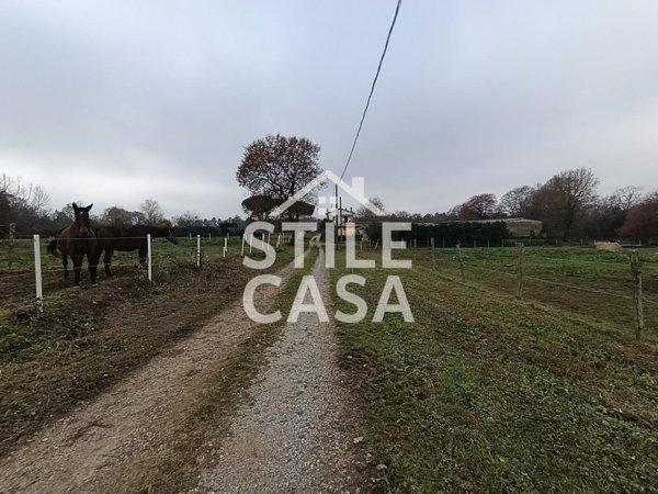 azienda agricola in vendita a Castelfranco di Sotto in zona Villa Campanile