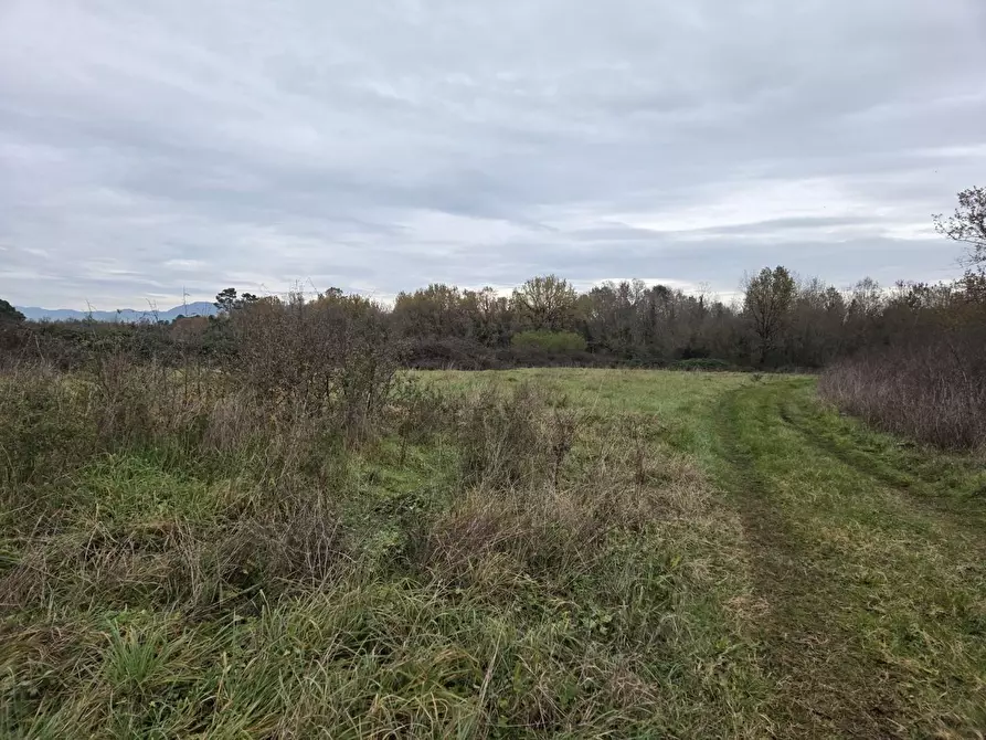 terreno agricolo in vendita a Castelfranco di Sotto