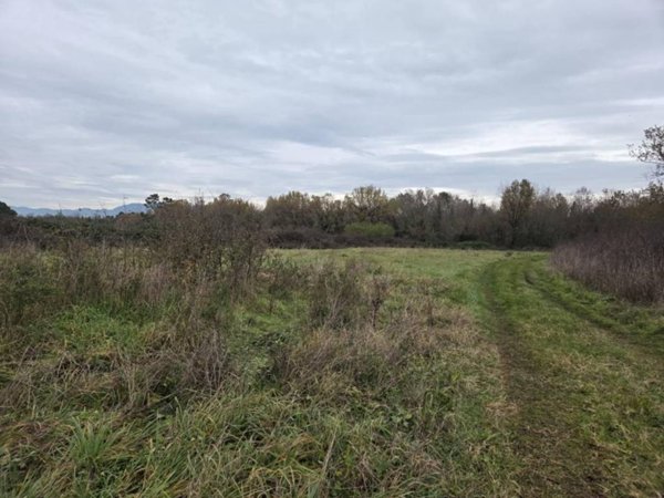 terreno agricolo in vendita a Castelfranco di Sotto in zona Orentano