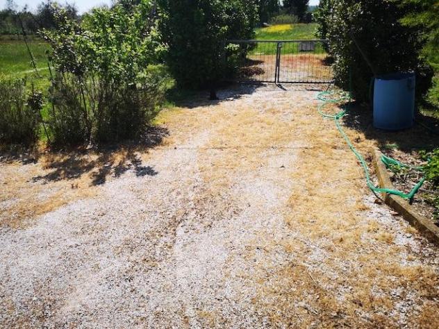 casa indipendente in vendita a Castelfranco di Sotto in zona Villa Campanile