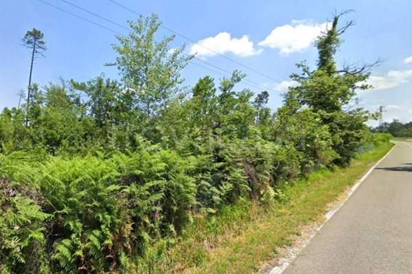 terreno in vendita a Castelfranco di Sotto in zona Villa Campanile