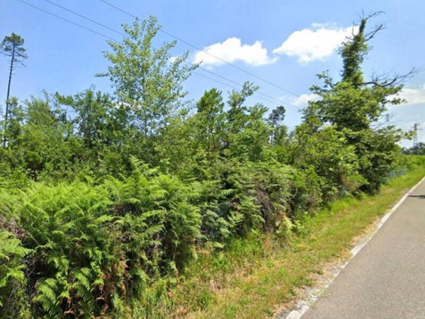 terreno in vendita a Castelfranco di Sotto