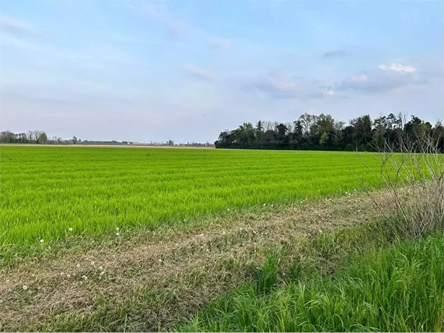 terreno in vendita a Castelfranco di Sotto