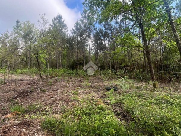 terreno in vendita a Castelfranco di Sotto in zona Orentano