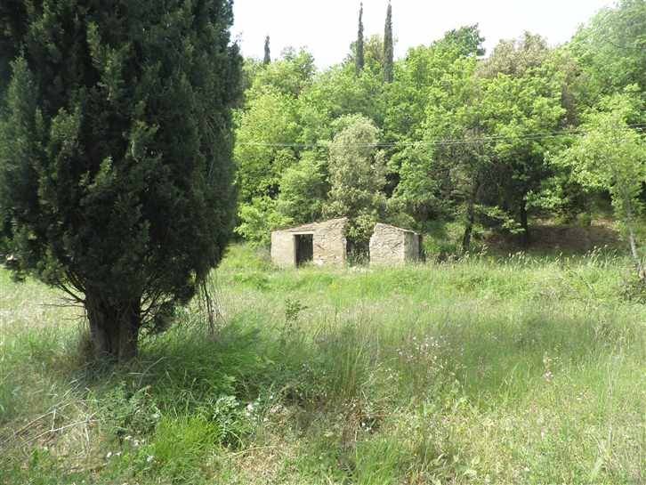 casa indipendente in vendita a Castellina Marittima