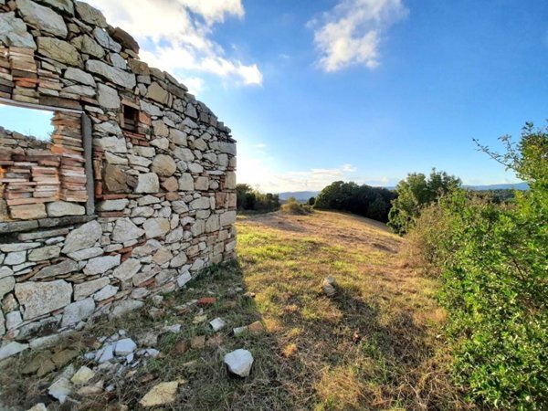 terreno agricolo in vendita a Castellina Marittima
