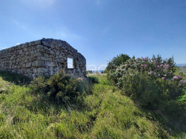 appartamento in vendita a Castellina Marittima