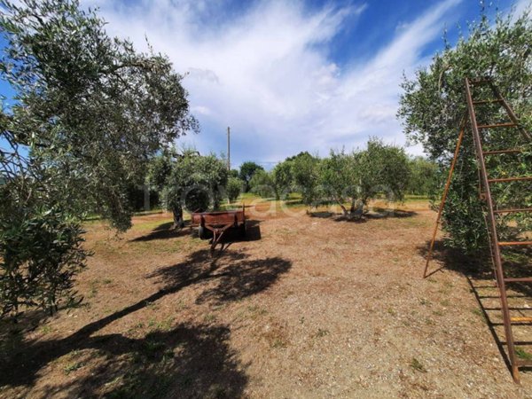 terreno agricolo in vendita a Castellina Marittima