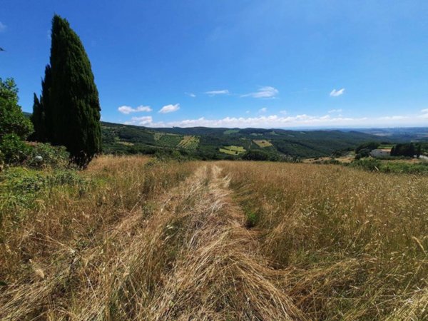 terreno agricolo in vendita a Castellina Marittima