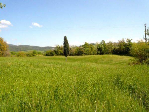 terreno agricolo in vendita a Castellina Marittima