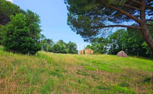 casa indipendente in vendita a Castellina Marittima