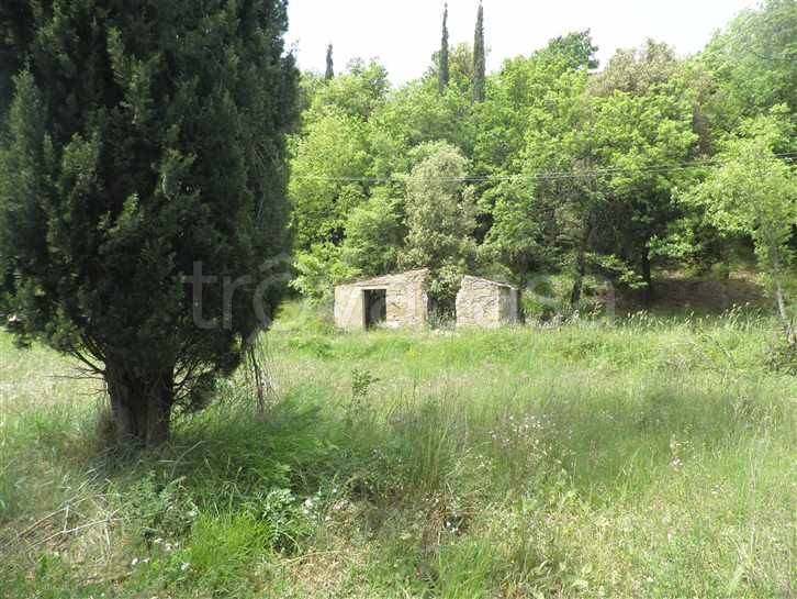 casa indipendente in vendita a Castellina Marittima