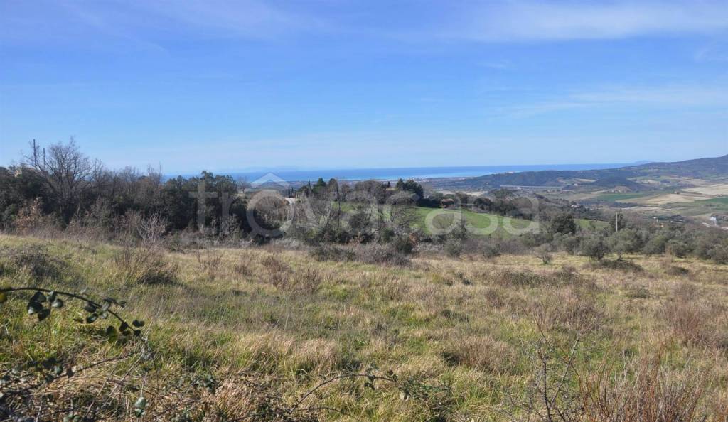 terreno agricolo in vendita a Castellina Marittima