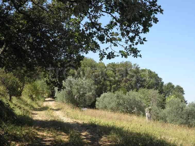 ufficio in vendita a Castellina Marittima