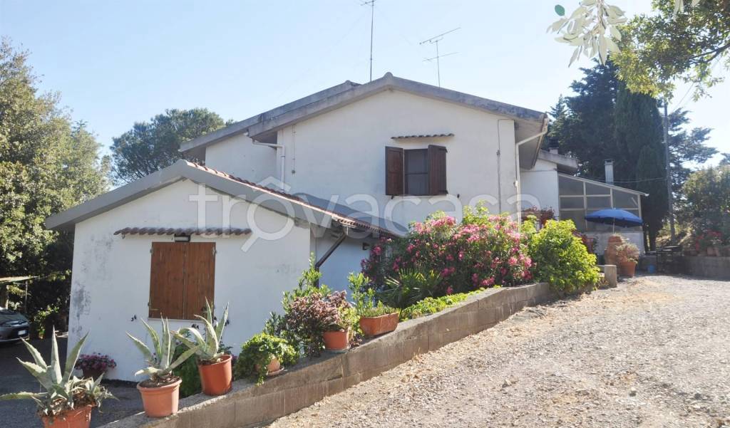 appartamento in vendita a Castellina Marittima