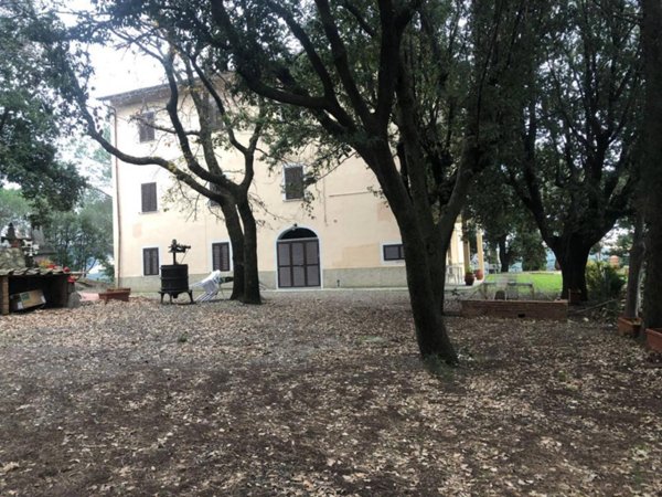 appartamento in vendita a Castellina Marittima
