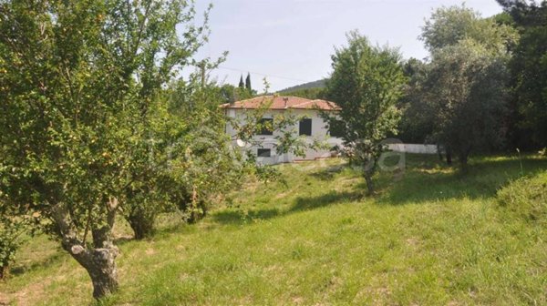 casa indipendente in vendita a Castellina Marittima
