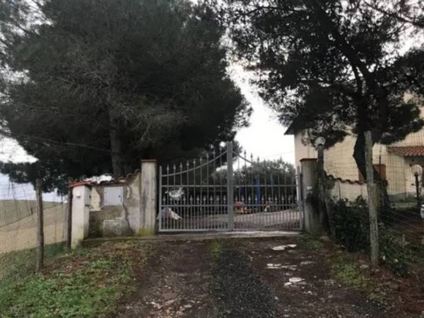 casa indipendente in vendita a Castellina Marittima