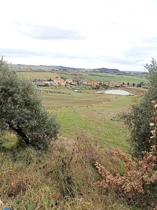 terreno agricolo in vendita a Castellina Marittima