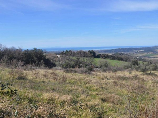 terreno agricolo in vendita a Castellina Marittima